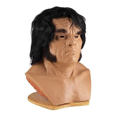 1234. Bortus' (Peter Macon) Elvis Hair on Custom Display Bust ### THE ORVILLE (T.V. SERIES, 2022)