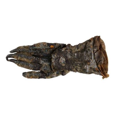 1269. Predator (Kevin Hall) Right Hand ### PREDATOR (1987)