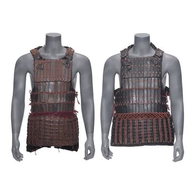 1284. Pair of Lamellar Armor ### RED CLIFF (2008)