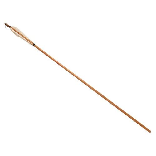 1296. Robin Hood's (Kevin Costner) Arrow ### ROBIN HOOD: PRINCE OF THIEVES (1991)