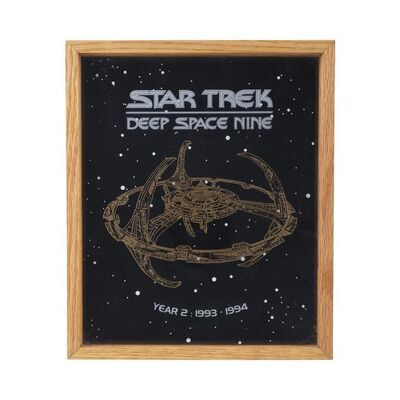 1460. Michael and Denise Okuda Collection: Framed Season 2 Crew Plaque ### STAR TREK: DEEP SPACE NINE (1993-1999)