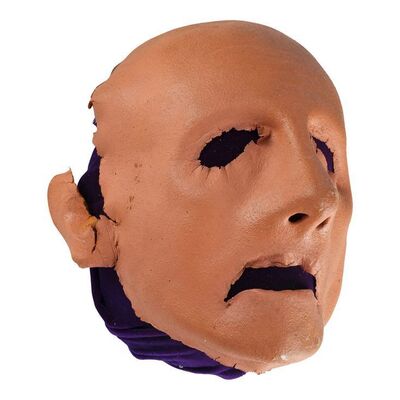 1595. Odo's (Rene Auberjonois) Face Appliance ### STAR TREK: DEEP SPACE NINE (1993-1999)