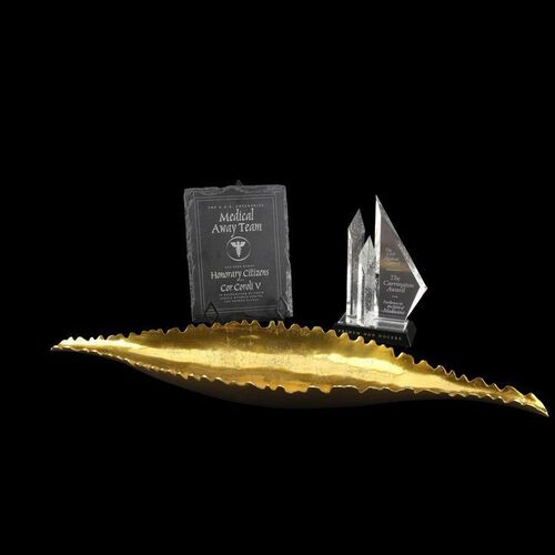 1635. Beverly Crusher's (Gates McFadden) Screen-Matched Cor Coroli V Award with Carrington Award and Titan Dinner Platter ### STAR TREK: PICARD (2020-2023)