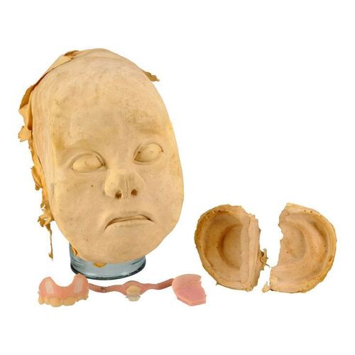 1694. Unfinished Ewok Mask, Teeth and Ears ### STAR WARS: RETURN OF THE JEDI (1983)