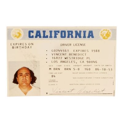 1863. Production-Made Vincent "Vince" Benedict (Danny DeVito) Driver's License ### TWINS (1988)