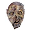 1883. Zombie Mask ### THE WALKING DEAD (T.V. SERIES, 2010-2022)