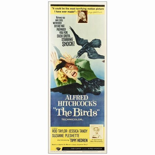 40. Insert (14" x 36"); Very Fine- Folded ### THE BIRDS (1963)