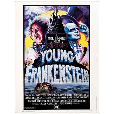 429. 30" x 40"; Style B; Very Fine Rolled ### YOUNG FRANKENSTEIN (1974)