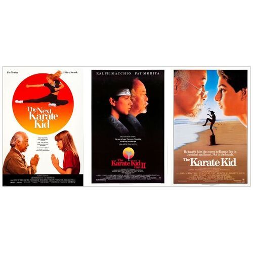 641. One Sheets (3) (27" x 41"); Very Fine+ Rolled ### KARATE KID FRANCHISE (1984-1994)