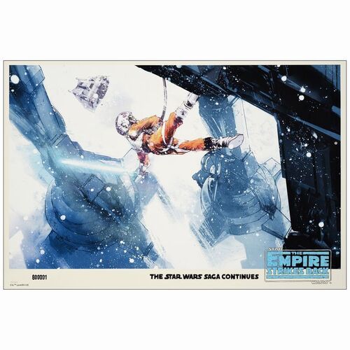 774. Limited Edition Screen Print (36" x 24"); Variant Style, Hand-Numbered; Very Fine+ Rolled ### STAR WARS: THE EMPIRE STRIKES BACK (2018)