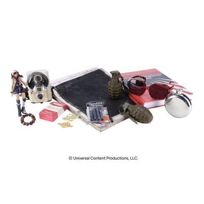 Lot #43: Lila Pitts' (Ritu Arya) Season 2 Accessories ### UMBRELLA ACADEMY, THE (2019 - 2024)