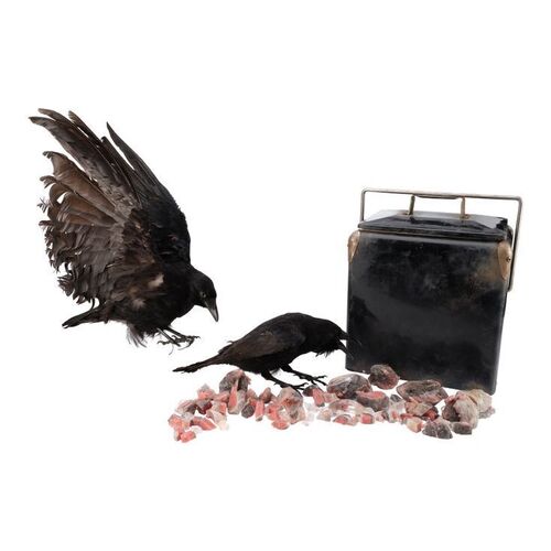Lot #94: Fei Hargreeves's (Britne Oldford) Mice Cooler, Mice Pieces, and Crows ### UMBRELLA ACADEMY, THE (2019 - 2024)