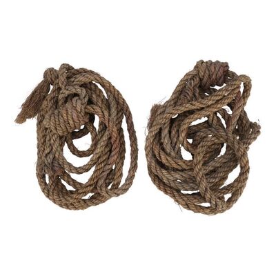 Lot #34: Michonne's (Danai Gurira) Walker Pet Bindings ### WALKING DEAD, THE (2010-2022)