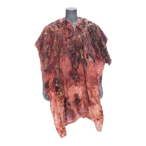 Lot #46: Carl Grimes' (Chandler Riggs) Walker Gut Poncho ### WALKING DEAD, THE (2010-2022)
