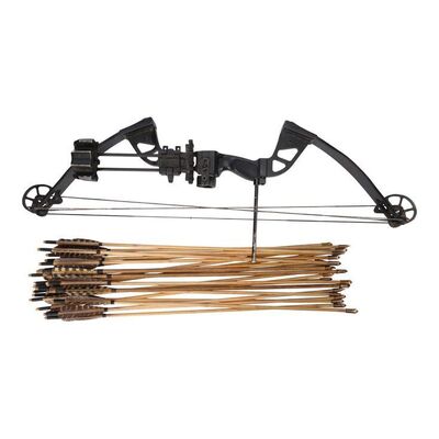 Lot #72: Yumiko's (Eleanor Matsuura) Compound Bow and Arrows ### WALKING DEAD, THE (2010-2022)