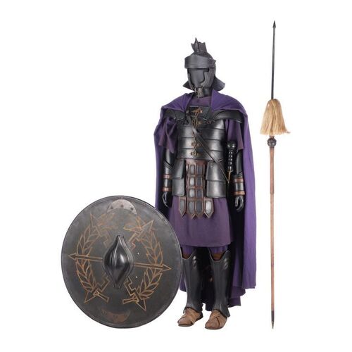 109. Praetorian Guard Costume with Hero Sword, Pilum and Shield ### GLADIATOR (2000)
