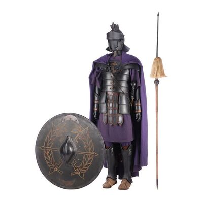 109. Praetorian Guard Costume with Hero Sword, Pilum and Shield ### GLADIATOR (2000)