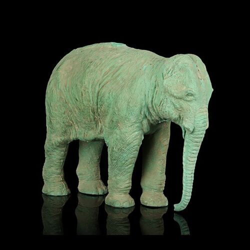 133. Ray Harryhausen Archive: Pinky the Elephant Test Casting by Ray Harryhausen ### THE VALLEY OF GWANGI (1969)
