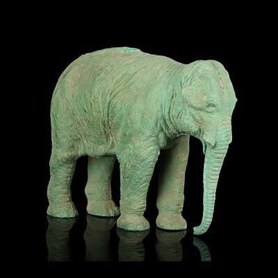 133. Ray Harryhausen Archive: Pinky the Elephant Test Casting by Ray Harryhausen ### THE VALLEY OF GWANGI (1969)