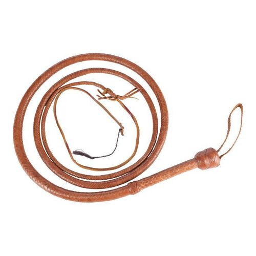 209. Indiana Jones' (Harrison Ford) Whip Replica from Entertainment Weekly Digital Cover Shoot ### INDIANA JONES AND THE DIAL OF DESTINY (2023)