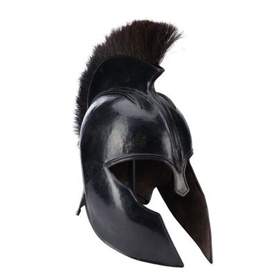 421. Achilles' (Brad Pitt) Lightweight Helmet ### TROY (2004)