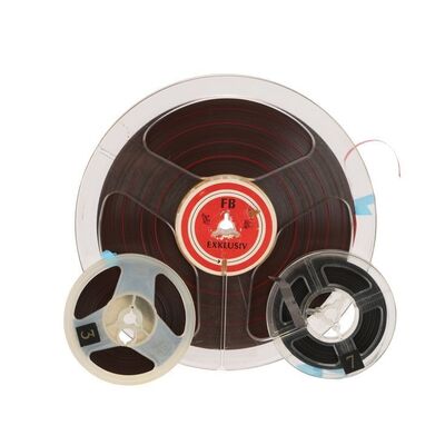 442. The Patricia "Trixie" Sullivan Collection: Set of Three Reel-to-Reel Tapes ### THE ANIMALS