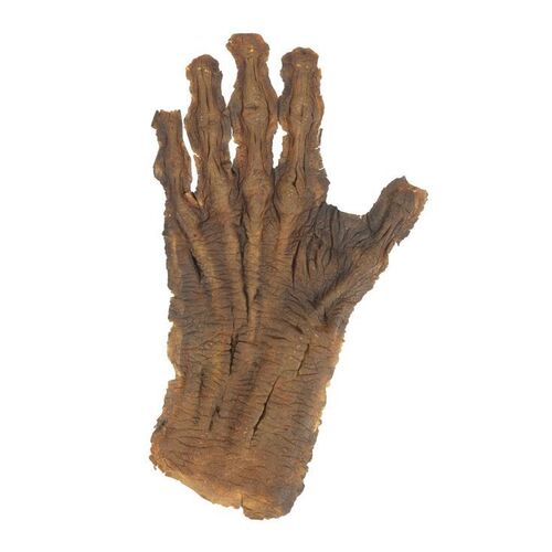 876. Undead Jack's (Griffin Dunne) Prosthetic Hand ### AN AMERICAN WEREWOLF IN LONDON (1981)