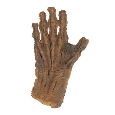 876. Undead Jack's (Griffin Dunne) Prosthetic Hand ### AN AMERICAN WEREWOLF IN LONDON (1981)