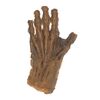 876. Undead Jack's (Griffin Dunne) Prosthetic Hand ### AN AMERICAN WEREWOLF IN LONDON (1981)