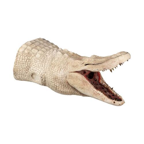 879. Life-size SFX Albino Alligator Head ### ANNIHILATION (2018)