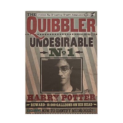 1227. "Undesirable" The Quibbler Magazine Cover ### HARRY POTTER AND THE ORDER OF THE PHOENIX (2007)