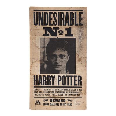 1231. "Undesirable No. 1" Poster ### HARRY POTTER AND THE DEATHLY HALLOWS: PART 1 (2010)