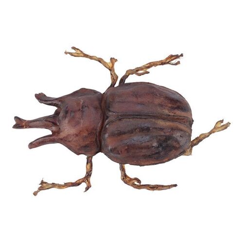 1278. Pankot Palace Banquet Beetle ### INDIANA JONES AND THE TEMPLE OF DOOM (1984)