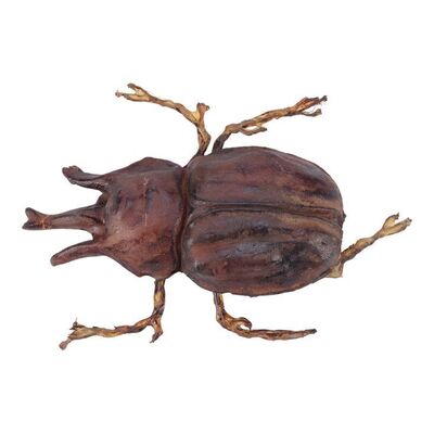 1278. Pankot Palace Banquet Beetle ### INDIANA JONES AND THE TEMPLE OF DOOM (1984)