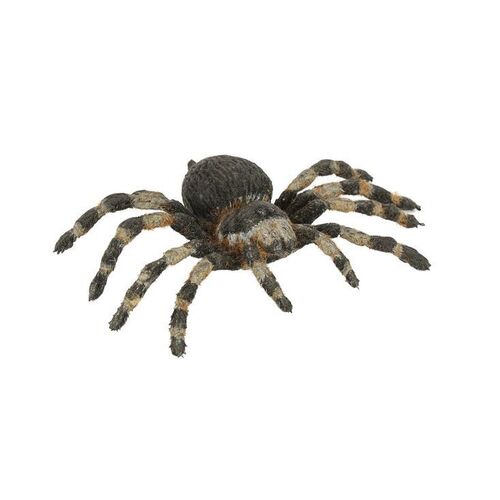 1314. Jungle Spider ### JAMES BOND: OCTOPUSSY (1983)