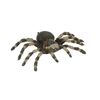 1314. Jungle Spider ### JAMES BOND: OCTOPUSSY (1983)