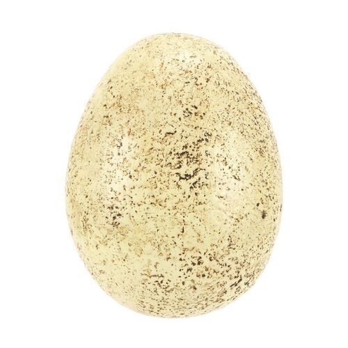 1405. Dinosaur Egg ### JURASSIC WORLD (2015)