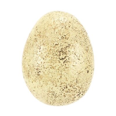 1405. Dinosaur Egg ### JURASSIC WORLD (2015)