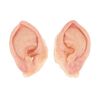 1453. Old Bilbo Baggins' (Ian Holm) Silicone Hobbit Ears ### THE LORD OF THE RINGS: THE FELLOWSHIP OF THE RING (2001)