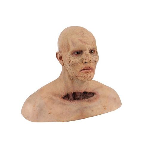 1512. Imhotep (Arnold Vosloo) Make-up Test Bust ### THE MUMMY RETURNS (2001)