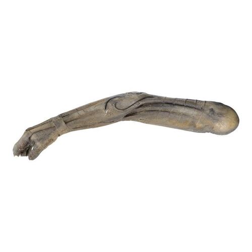 1571. Fossilised Engineer's Arm ### PROMETHEUS (2012)