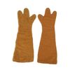1576. Zippy Puppet Hands ### RAINBOW (1972-1992)