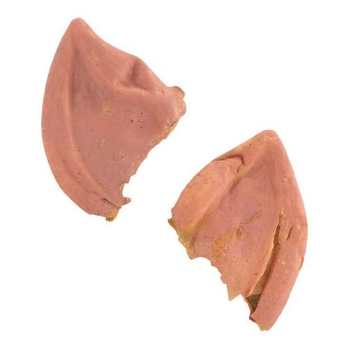 1618. Spock's (Leonard Nimoy) Ear Appliances ### STAR TREK: THE MOTION PICTURE (1979)