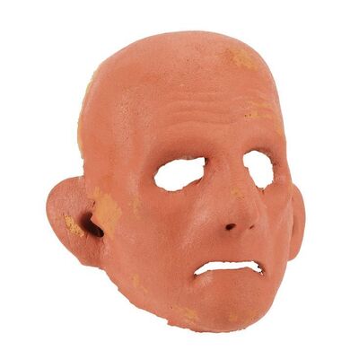 1646. Odo (Rene Auberjonois) Facial Prosthetic ### STAR TREK: DEEP SPACE NINE (T.V. SERIES, 1993-1999)