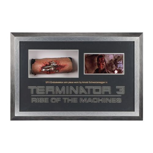 1755. SFX T-800 (Arnold Schwarzenegger) Arm Piece ### TERMINATOR 3: RISE OF THE MACHINES (2003)