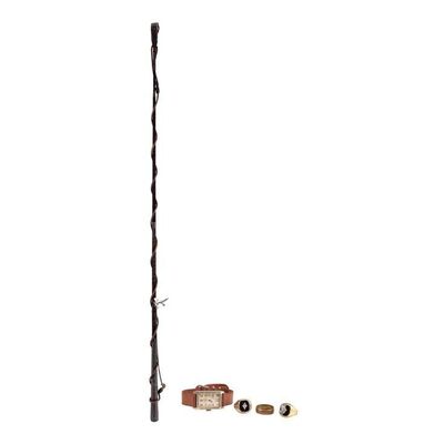 1814. August Rosenbluth's (Christoph Waltz) Whip, Watch and Jewellry ### WATER FOR ELEPHANTS (2011)