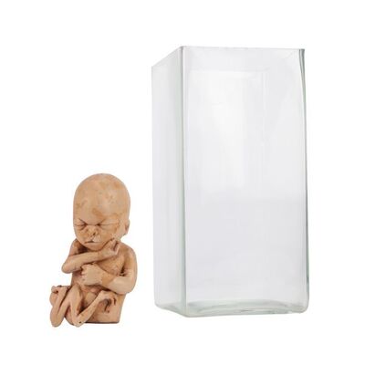 1834. Alien-Human Hybrid Foetus with Glass Tank ### THE X-FILES - ESSENCE (2001)
