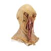 Lot #25. Ood Face ### DOCTOR WHO (TV SERIES, 2005-2022)