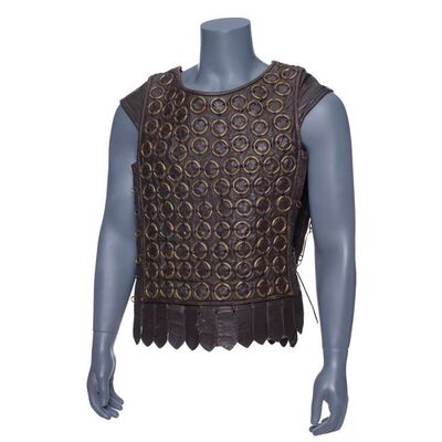 93. Galen Brandwardyn's (Peter MacNicol) Ring Mail Tunic ### DRAGONSLAYER (1981)