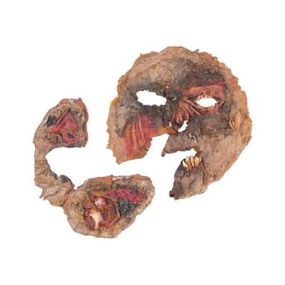 111. Tom Sullivan Collection: Deadite Shelly's (Theresa Tilly) Burned Facial Appliances ### THE EVIL DEAD (1981)